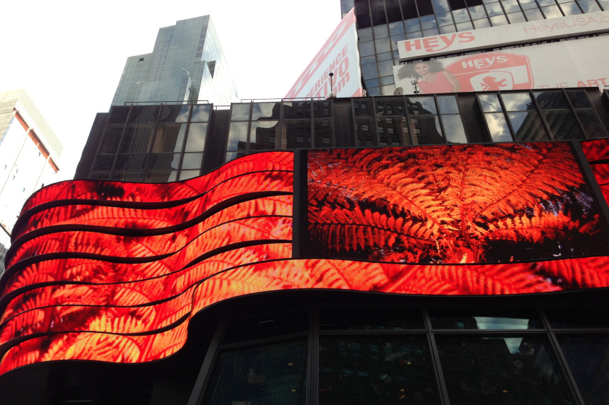 NZ Times Square