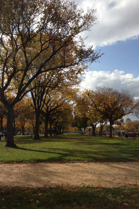 Fall Foliage