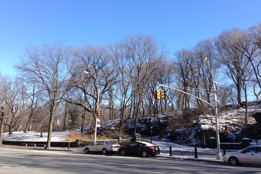 Snow in Central Park