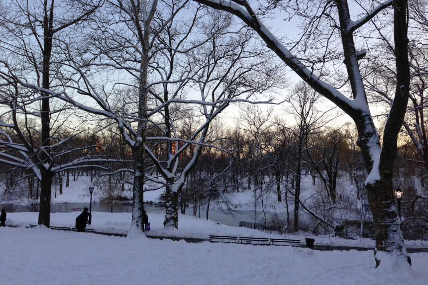 Snow in Central Park