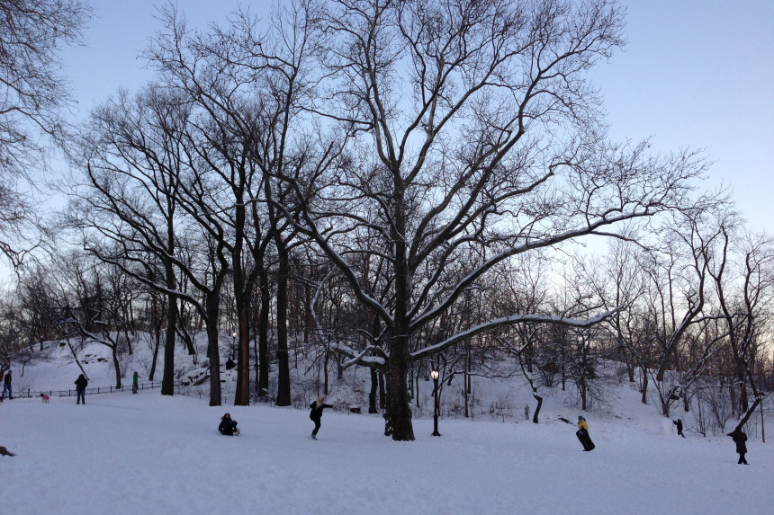 Snow in Central Park