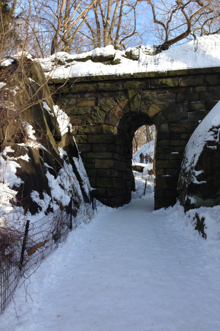 Snow in Central Park