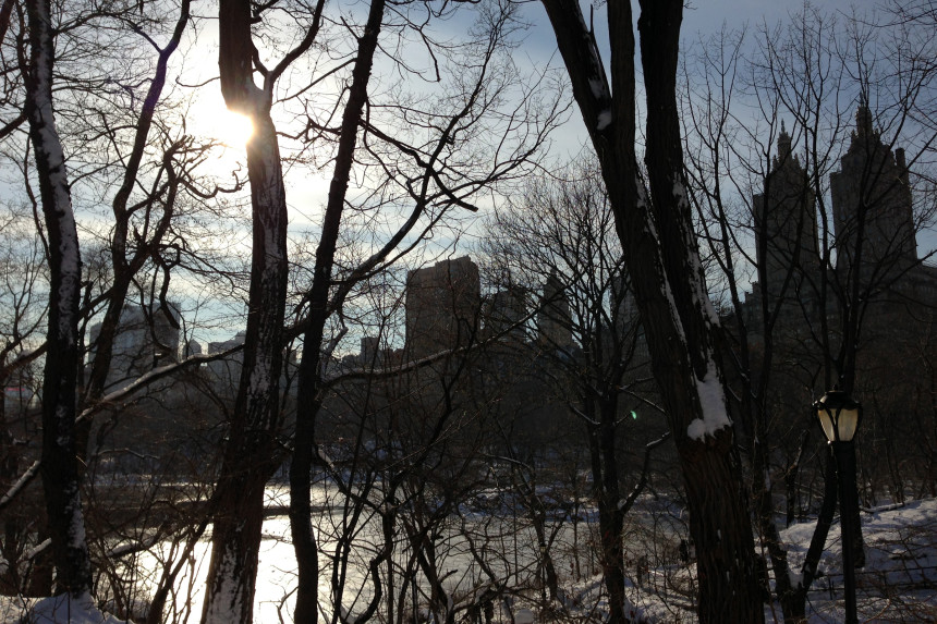 Snow in Central Park