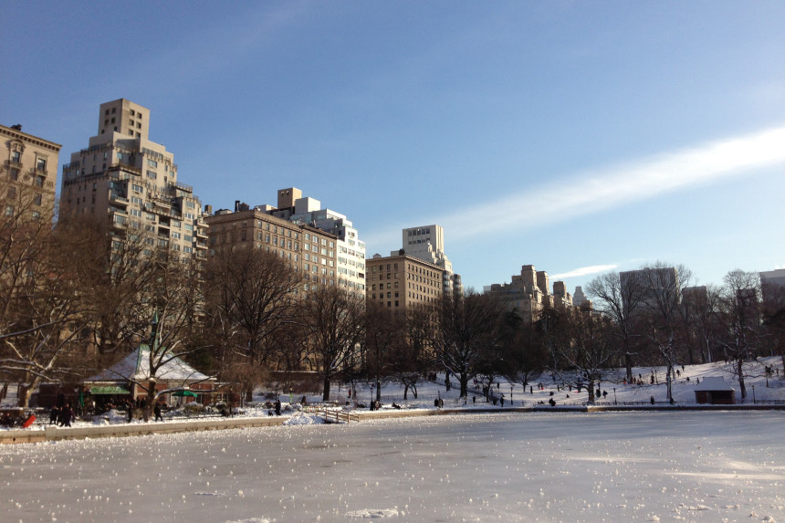 Snow in Central Park