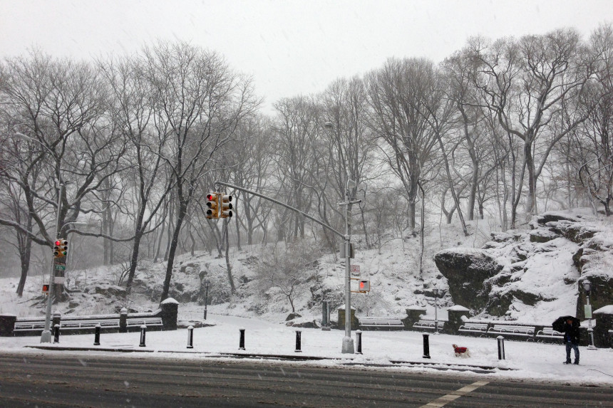 Central Park Snow