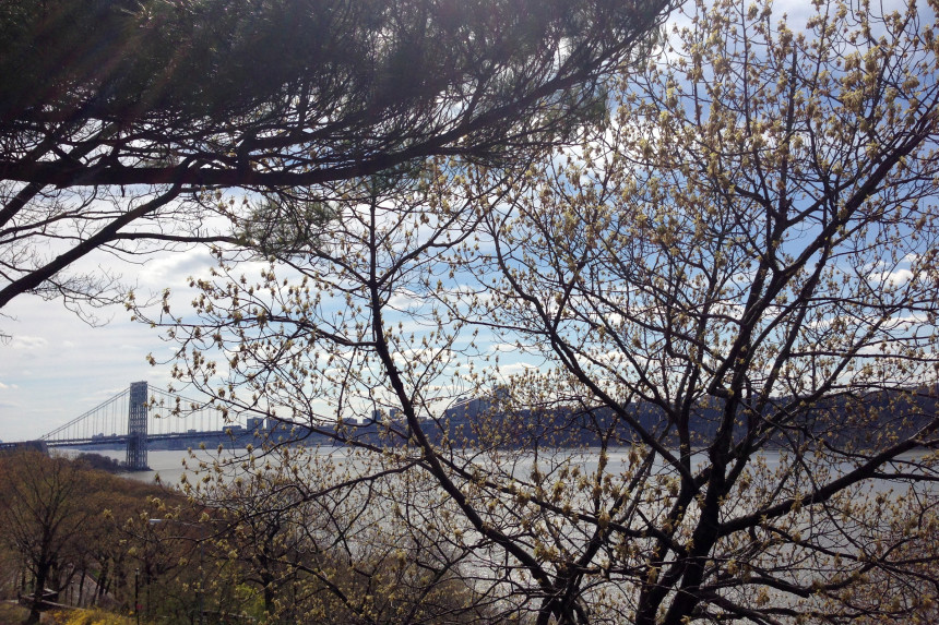 Hudson River & George Washington Bridge