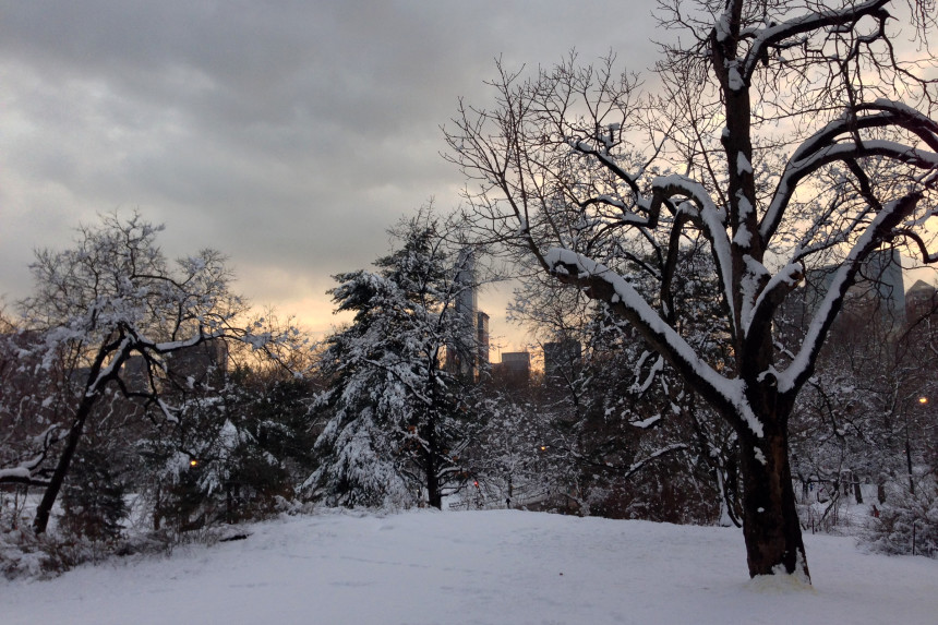 Central Park Snow