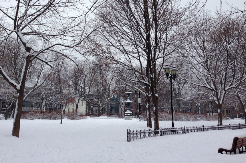 Snowy Park