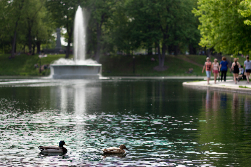 Parc La Fontaine