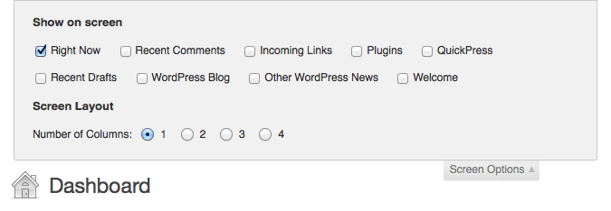 WordPress Screen Options